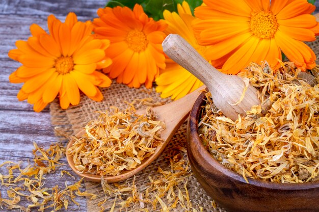 Flores de hierbas de calendula officinalis frescas y secas