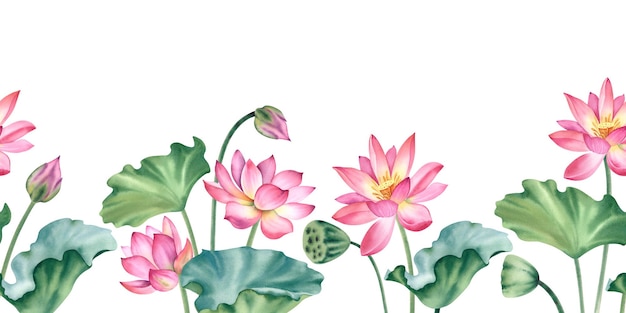 Flores y hojas de loto rosadas Ilustración en acuarela pintada a mano sobre un fondo blanco Frontera horizontal sin costuras Un paquete de lirios de agua para el spa clipart