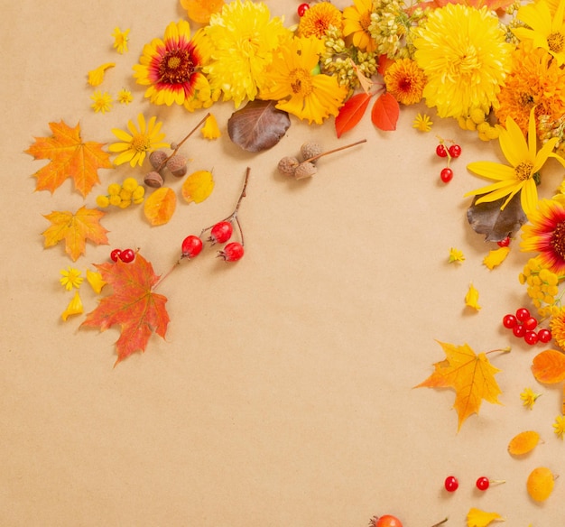 Flores y hojas de otoño sobre papel