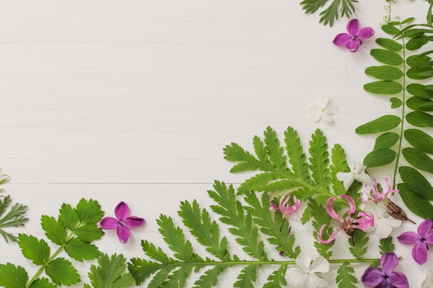 Flores y hojas sobre fondo blanco de madera