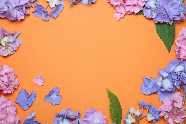 Flores de hortensia azul rosa sobre una apertura de papel tapiz de fondo naranja