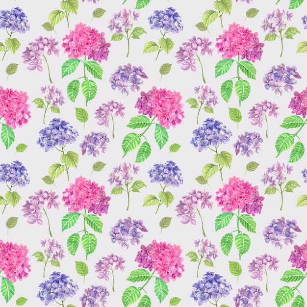 Flores de hortensia rosadas y púrpuras hojas verdes patrón sin costuras en un fondo blanco acuarela