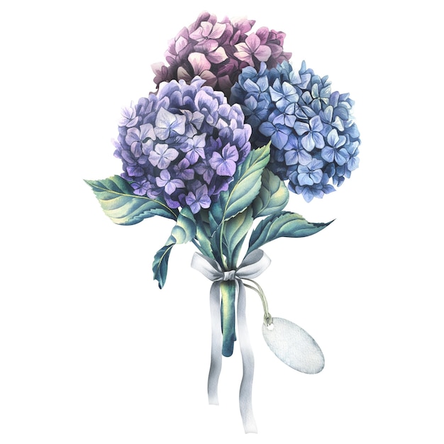 Las flores de hortensia son lilas azules y rosas en forma de ramo con una cinta de raso y una etiqueta de papel para la inscripción Ilustración acuarela de la colección FLORES DE BODA Para el diseño