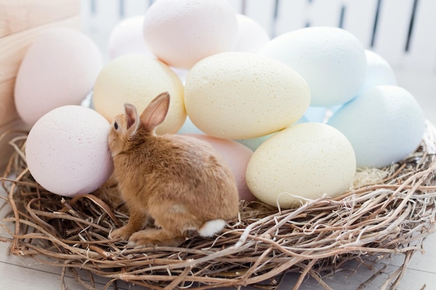 Flores y huevos de conejito de Pascua