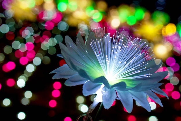 Flores de iluminación de primer plano con luz que brilla intensamente en colores borrosos y bokeh en el fondo nocturno