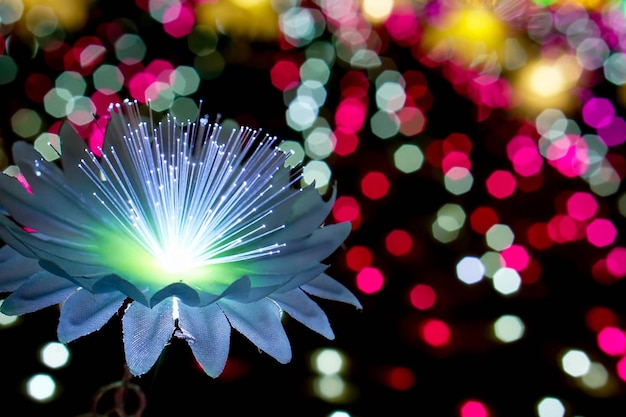 Flores de iluminación de primer plano con luz que brilla intensamente en colores borrosos y bokeh en el fondo nocturno