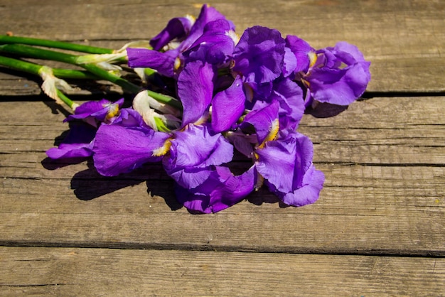 Flores de iris púrpura sobre fondo de madera con espacio de copia