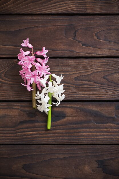 Flores de jacinto en madera oscura.