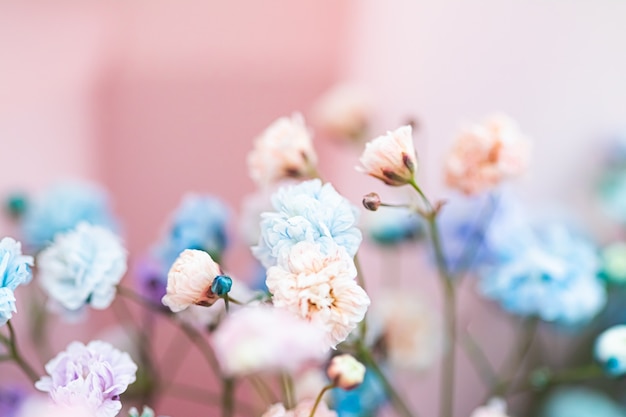 Flores en el jardín de belleza floral y fondo botánico para invitación de boda y tarjeta de felicitación, concepto de naturaleza y medio ambiente