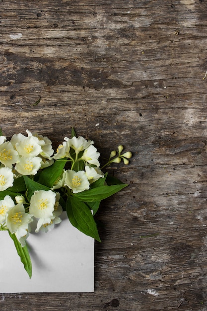 Flores de jazmín de primavera sobre fondo de madera