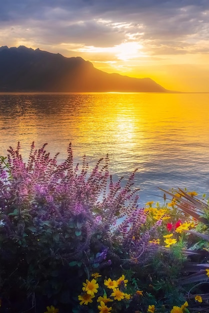 Foto flores y el lago de ginebra suiza