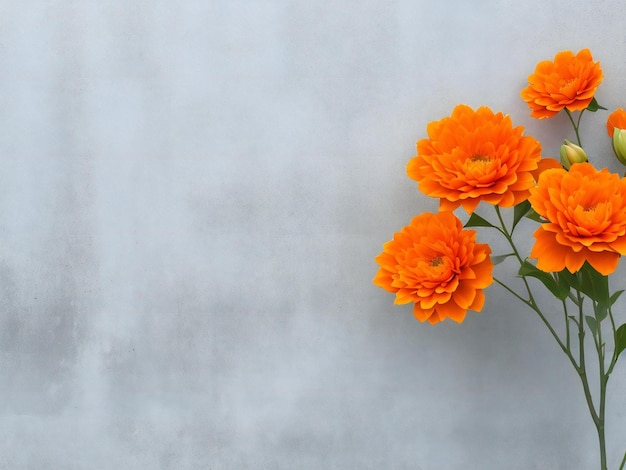 Flores laranjas contra uma parede cinzenta