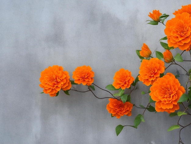 Flores laranjas contra uma parede cinzenta