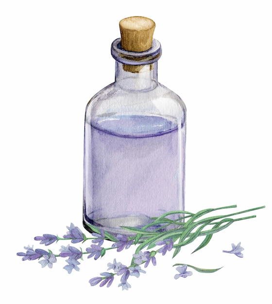 Flores de lavanda y acuarela de botella.