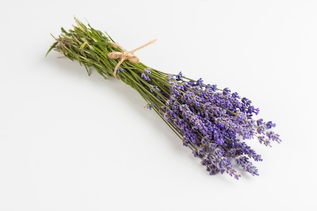 Flores de lavanda aisladas en blanco