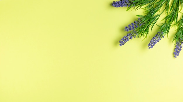 Flores de lavanda en papel tapiz verde con espacio de copia