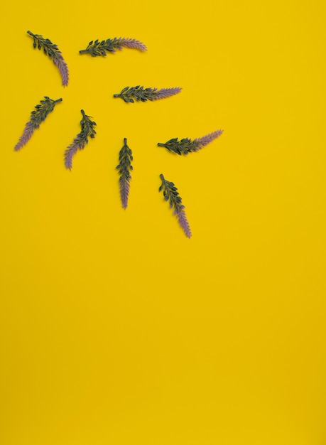 Flores de lavanda púrpura sobre fondo amarillo concepto de primavera verano estilo plano laico con espacio de copia