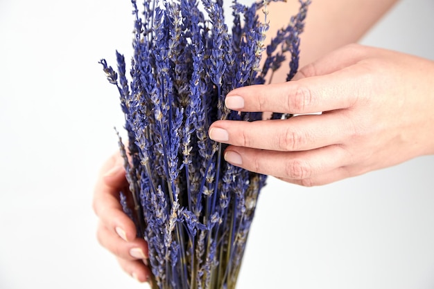 Flores de lavanda Ramo de tallos de lavanda azul secos sobre un fondo blanco Las manos femeninas tocan las flores