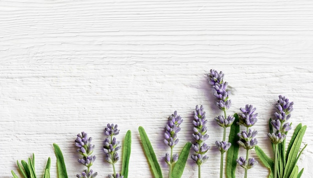 Flores de lavanda sobre fondo blanco de madera