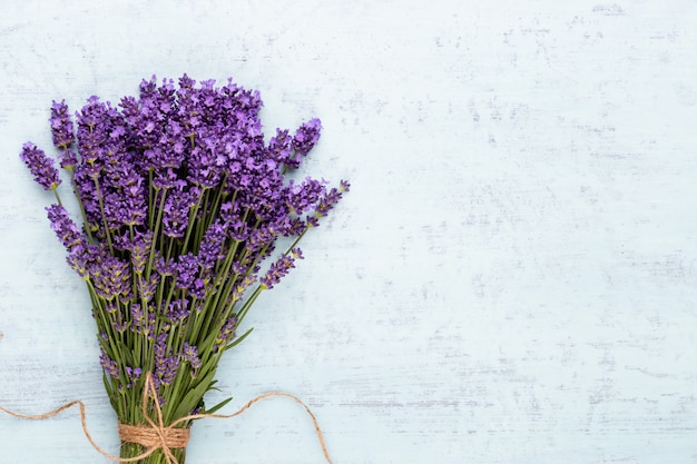 Flores de lavanda sobre un fondo blanco.