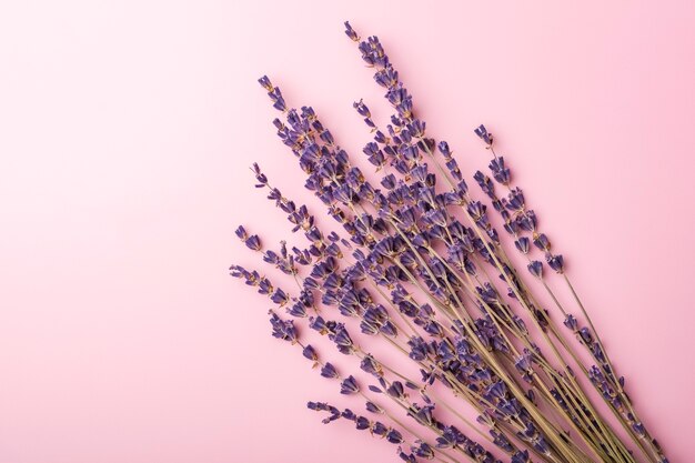 Flores de lavanda sobre un fondo rosa. Arreglo de boda simple. Copia espacio