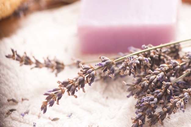 Flores de lavanda