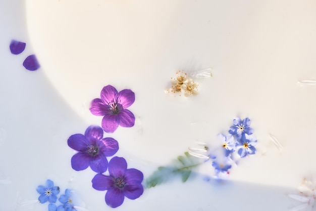 Flores en la leche Medicina herbaria actitud ecológica hacia uno mismo y la naturaleza fondo abstracto Escala Purpleblue
