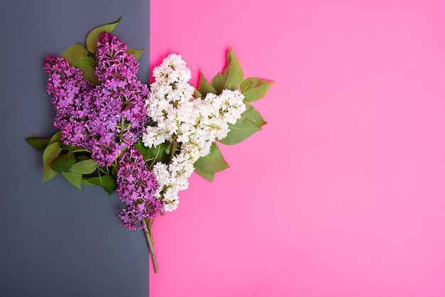 Flores lilas blancas y moradas sobre un doble fondo de espacio de copia gris y rosa