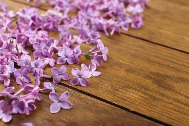 Flores lilás em fundo de madeira de perto