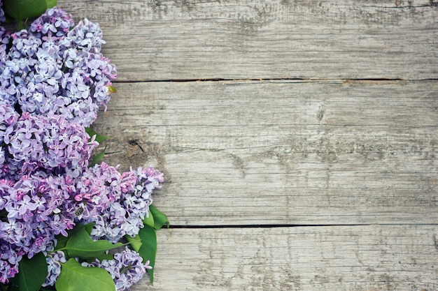 Flores lilás em fundo de madeira. Lilac bonito no fundo de madeira.