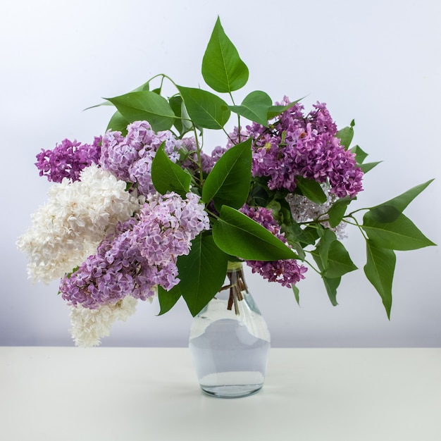 Flores lilás em vaso de vidro sobre fundo branco