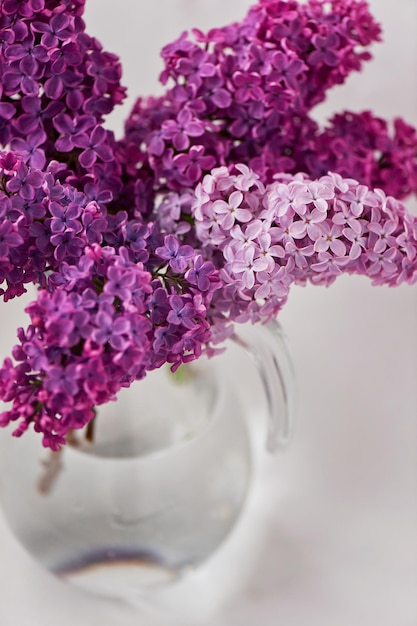 Flores lilas frescas en jarrón de vidrio de cerca aisladas sobre fondo blanco