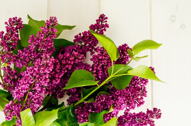 Flores lilás frescas na superfície de madeira branca.