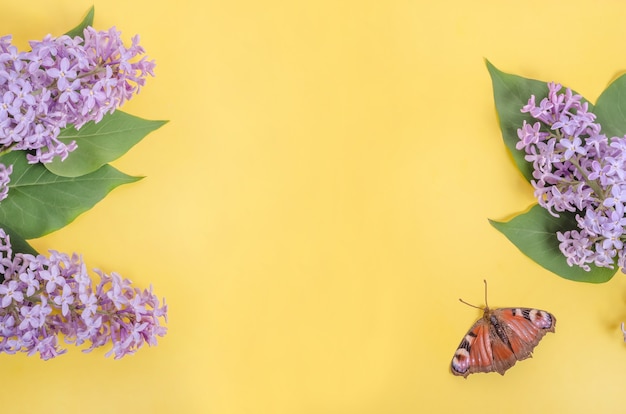 Flores lilas y una mariposa sobre una pared amarilla con espacio de copia