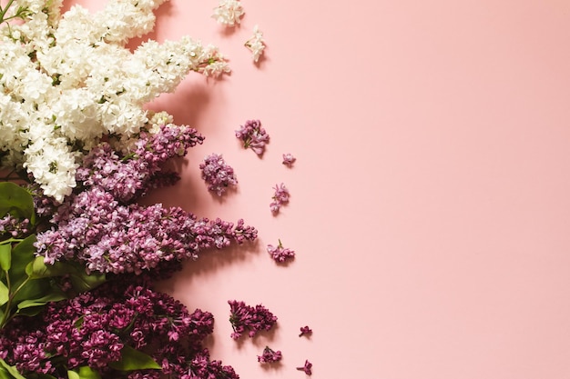 Flores lilas de primavera sobre fondo rosa borde decorativo copia espacio plano endecha