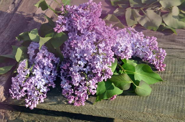 Flores lilás roxas como pano de fundo Buquê de flores lilás roxas em fundo de madeira