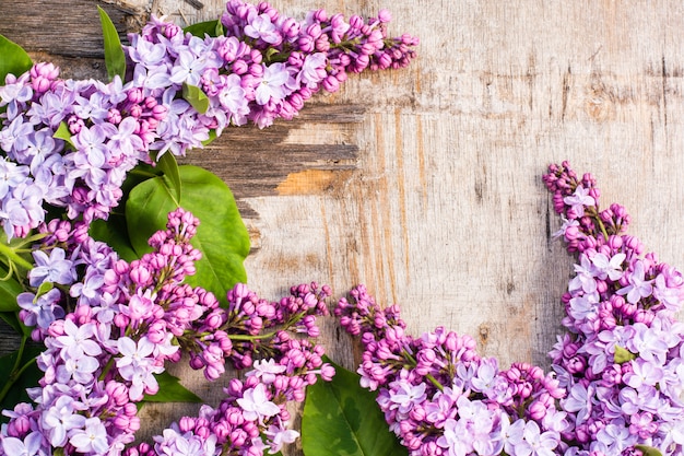 Las flores lilas sobre madera vieja.