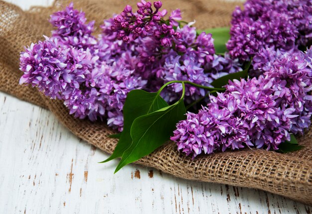 Flores lilas