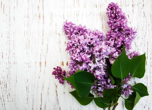 Flores lilas