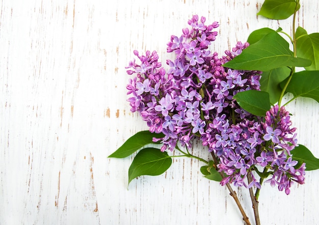 Flores lilas