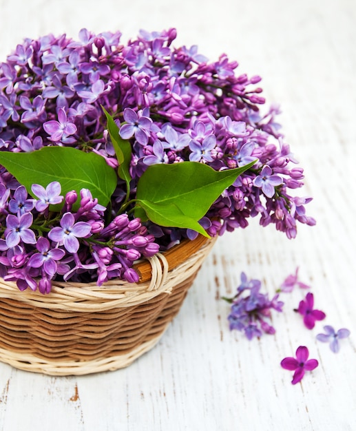 Flores lilas