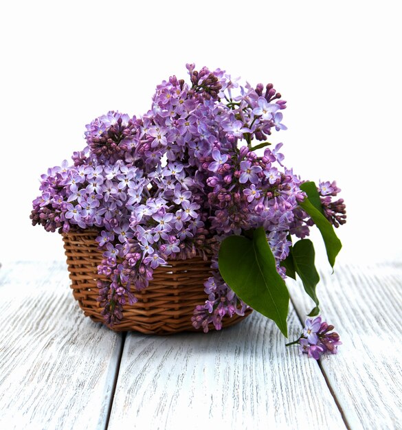 Flores lilas