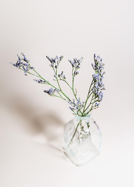 flores de limonium púrpura en un jarrón de vidrio sobre un fondo floral de fondo rosa pálido