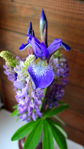 Flores lindo buquê íris lírios verão jardim