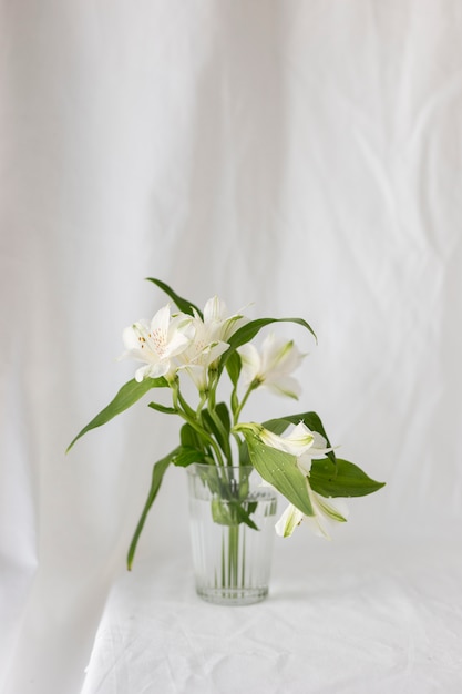 Foto flores de lirio blanco frente a la cortina blanca