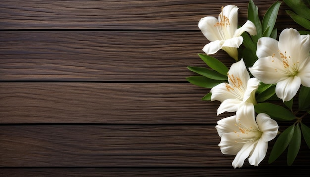 Flores de lirio blanco sobre fondo de madera Vista superior con espacio para copiar