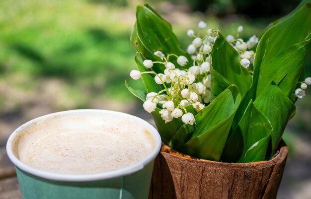 flores de lirio de los valles en una linda olla pequeña sobre una mesa de madera afuera en un parque público capuchino d