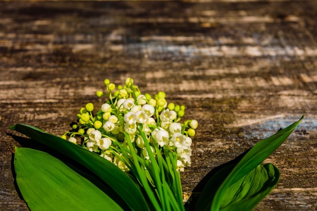 Flores de lirio de los valles sobre fondo de madera rústica