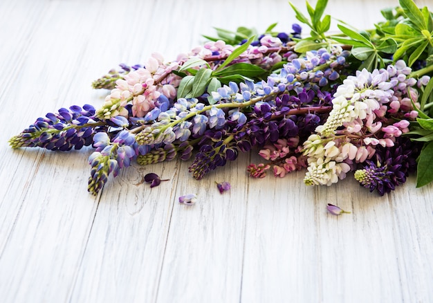 Flores de lupino rosa y morado