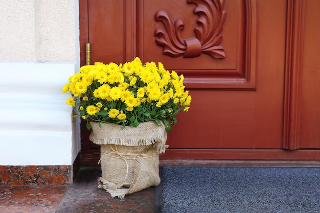 Flores en maceta sobre fondo de puerta de madera